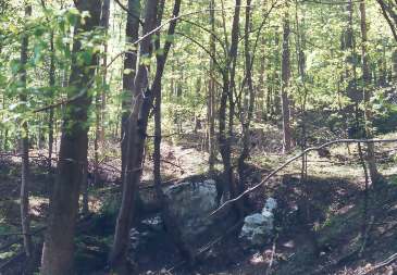 Gipskarst im Landkreis Osterode