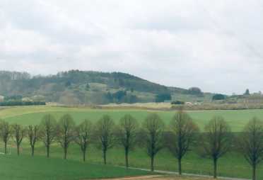 Blick auf die Gipskarstlandschaft am Osteroder Truppenbungsplatz